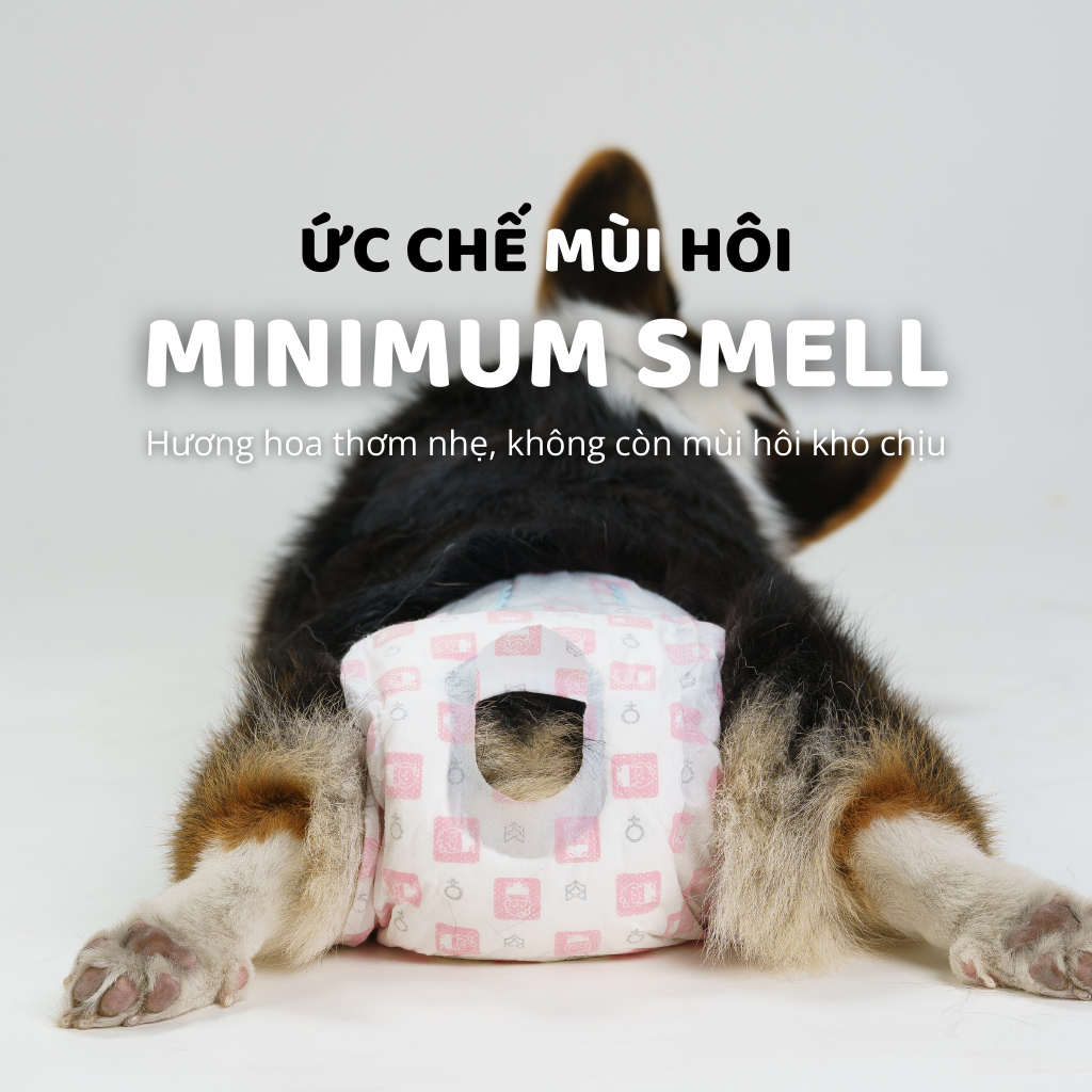 Tã lót mặc cho Chó/Mèo FOFOS
