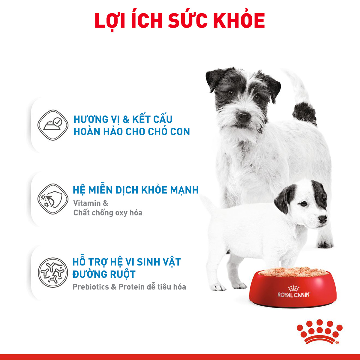 Pate cho chó Royal Canin Starter Mousse lon 195g