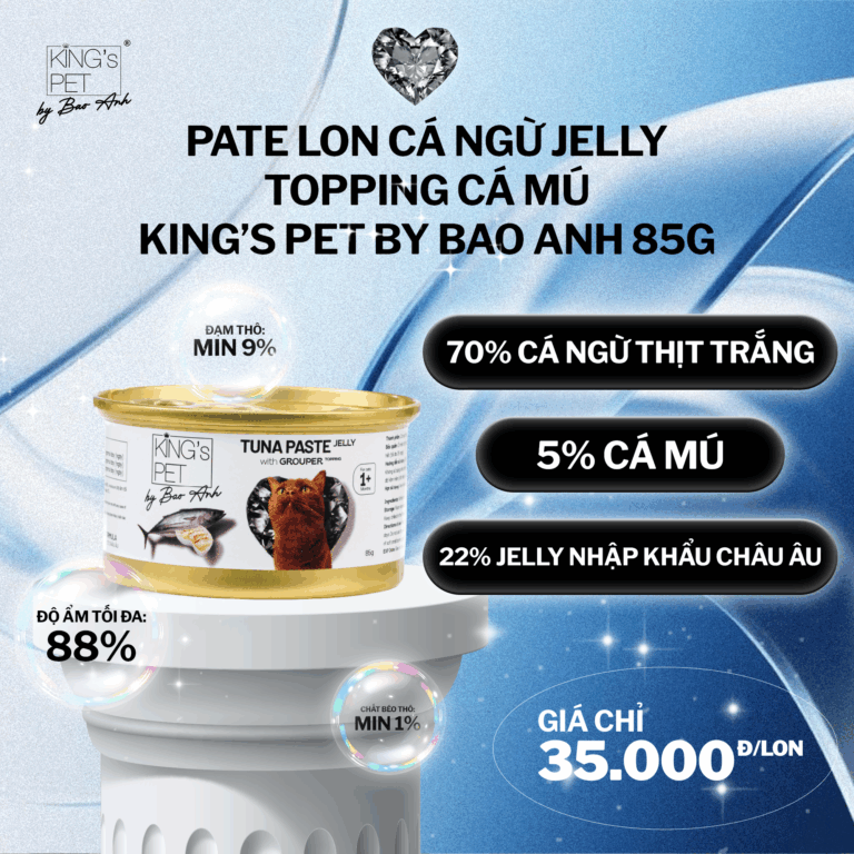 PATE LON CÁ NGỪ JELLY TOPPING CÁ MÚ KING'S PET BY BAO ANH 85G