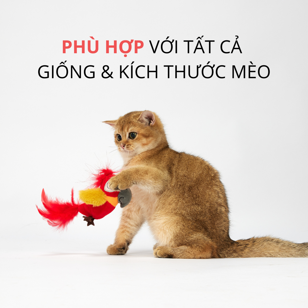 Đồ chơi chim vẹt có tiếng kêu kèm bóng catnip FOFOS