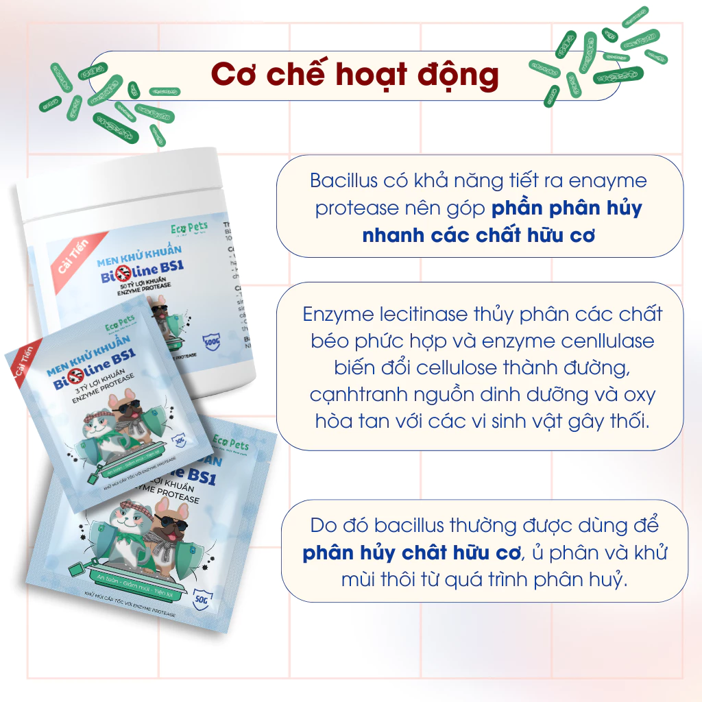 Men khử khuẩn Ecopets Bioline BS1 600gr