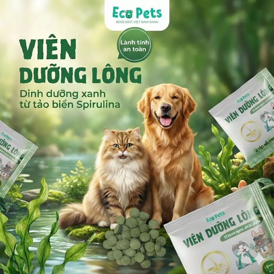 VIÊN DƯỠNG LÔNG - ECO DERMA 6G