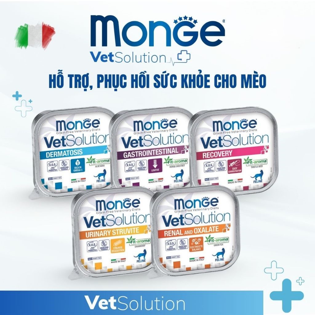 Pate mèo cao cấp Ý Monge VET Solution hộp 100g