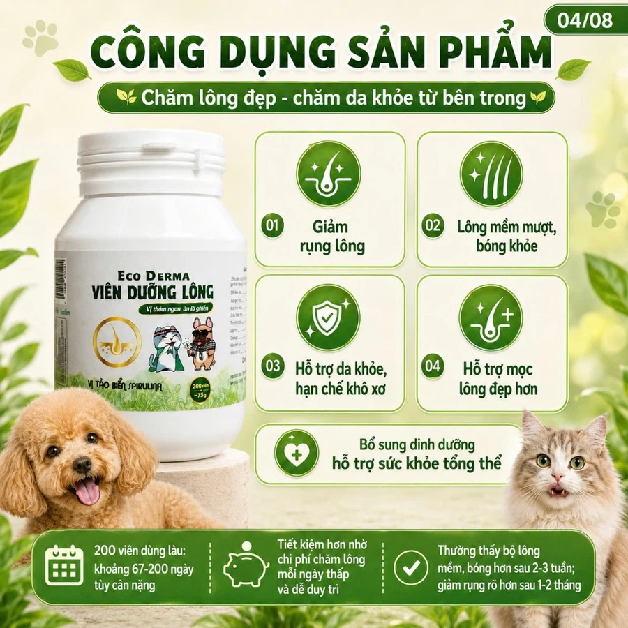 ECO DERMA ( VIÊN DƯỠNG LÔNG 200V)