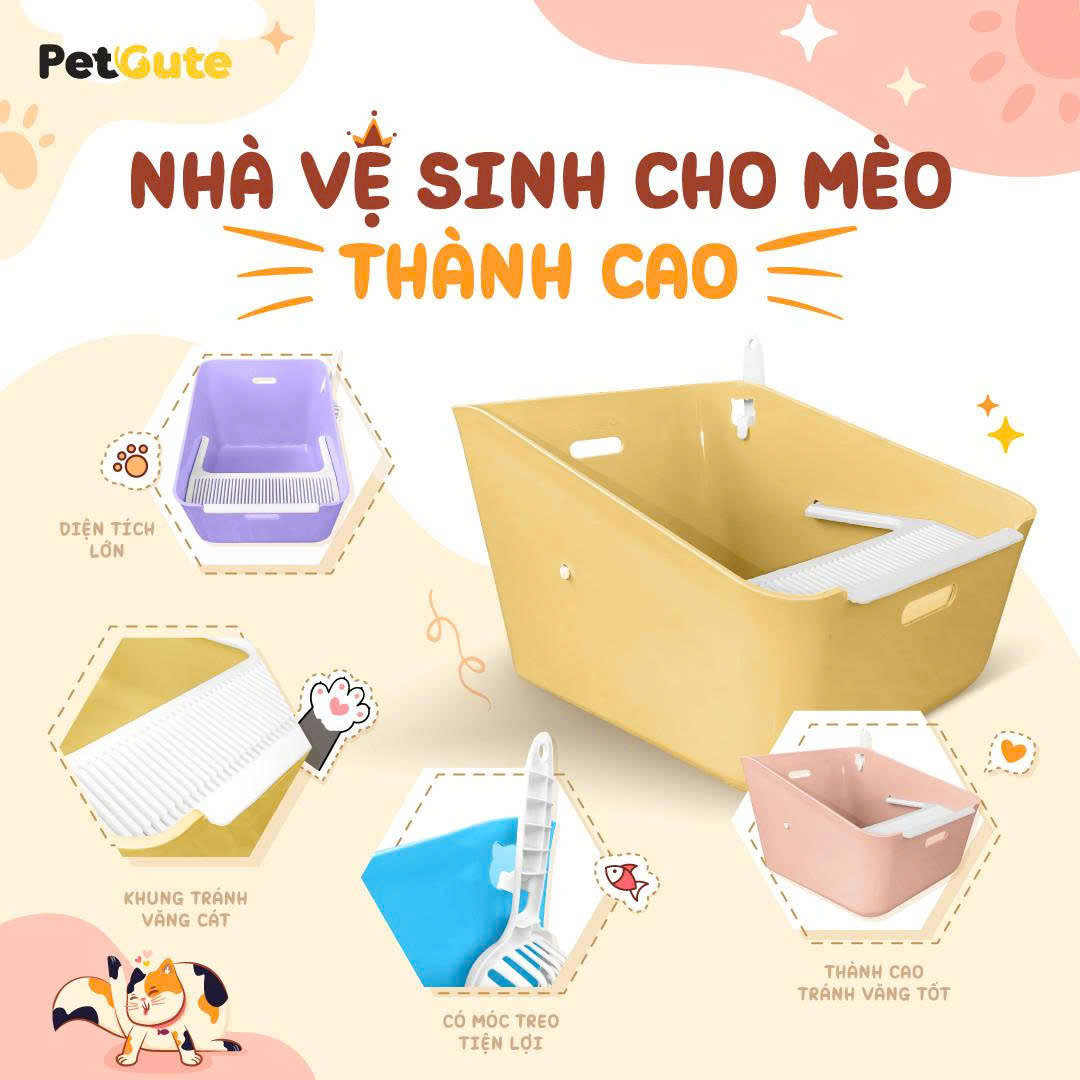 Nhà vệ sinh cho mèo thành cao