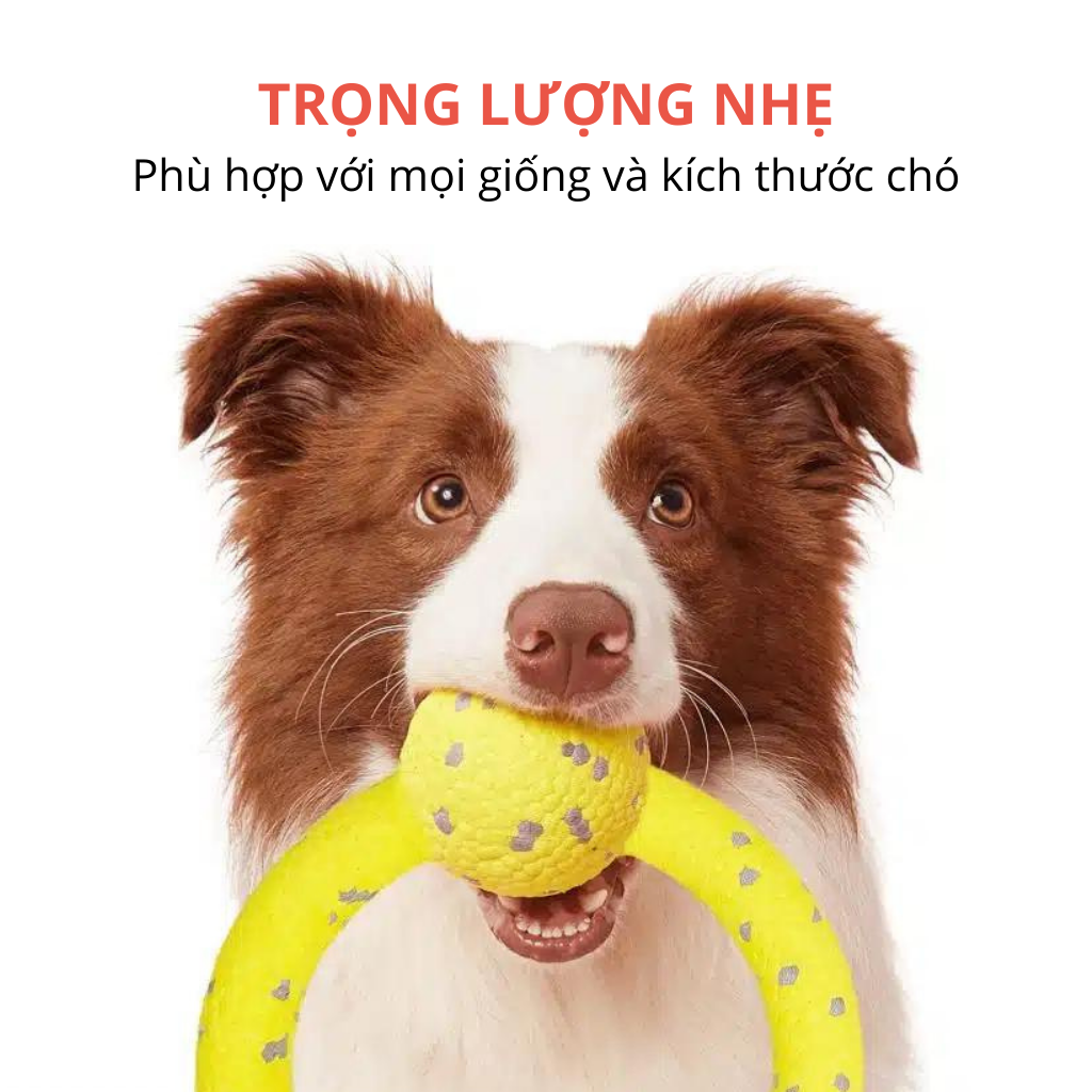 Đồ chơi vòng kéo co cho chó FOFOS