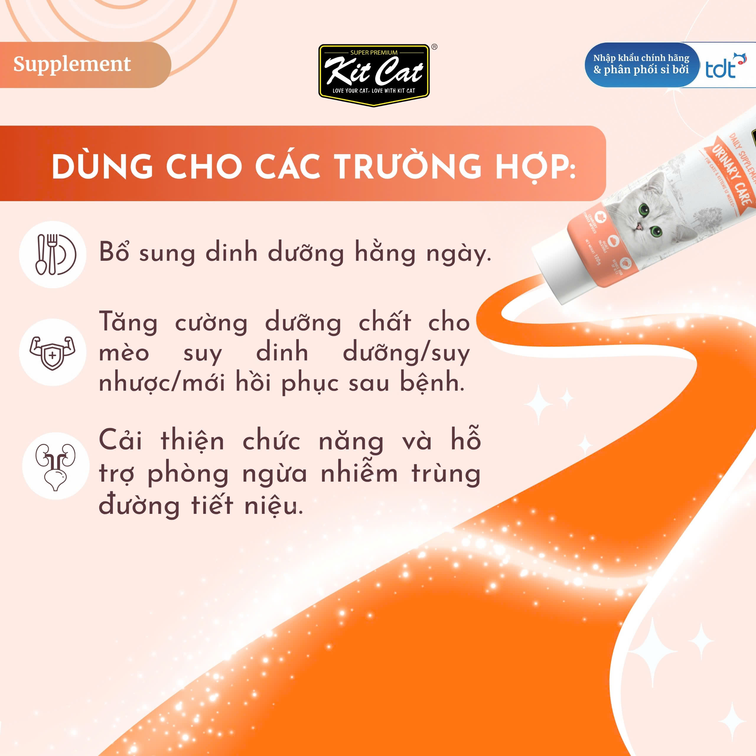 Gel dinh dưỡng Kit Cat hỗ trợ hệ tiết niệu cho mèo 120g
