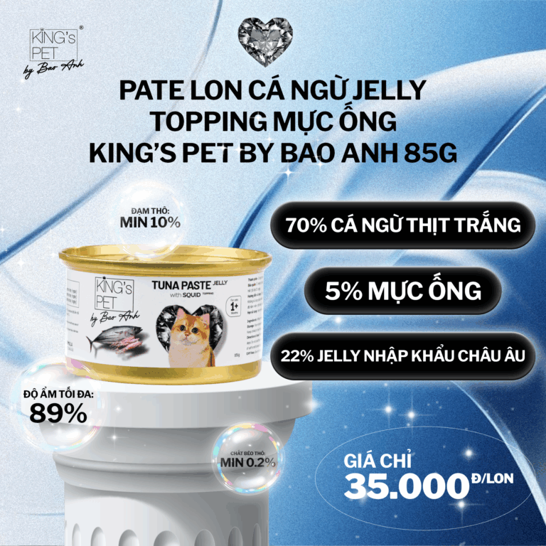 PATE LON CÁ NGỪ JELLY TOPPING MỰC ỐNG KING'S PET BY BAO ANH 85G