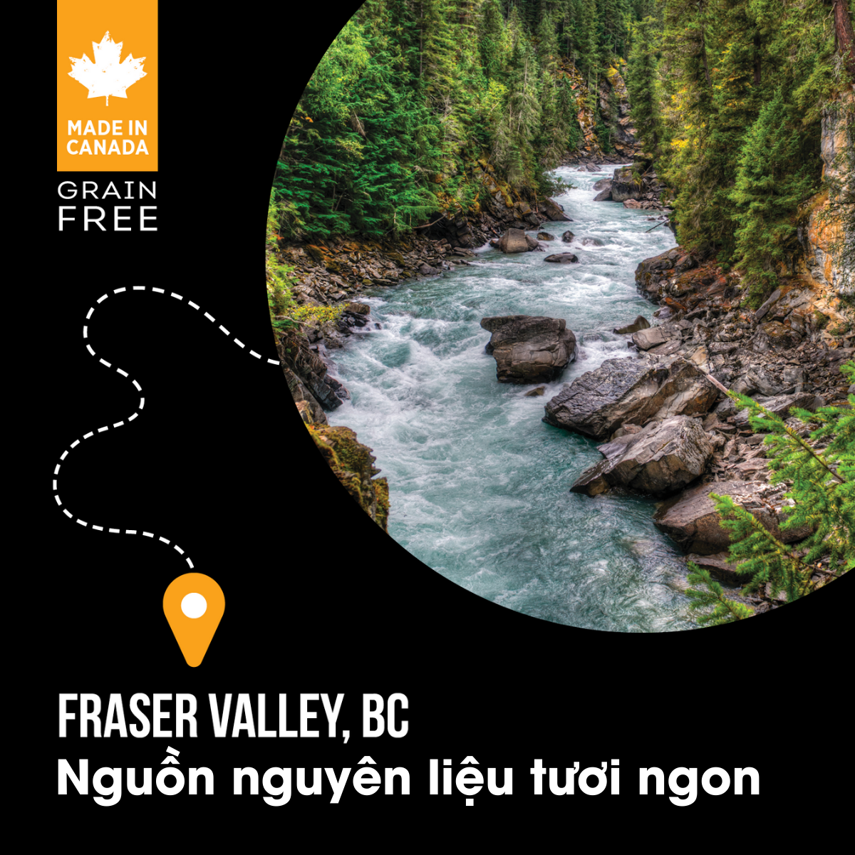 NT Subzero cho Chó - Gà tây, cá hồi, cá trích, cá tuyết và rau củ quả tự nhiên (Cho mọi giống chó ở mọi lứa tuổi)