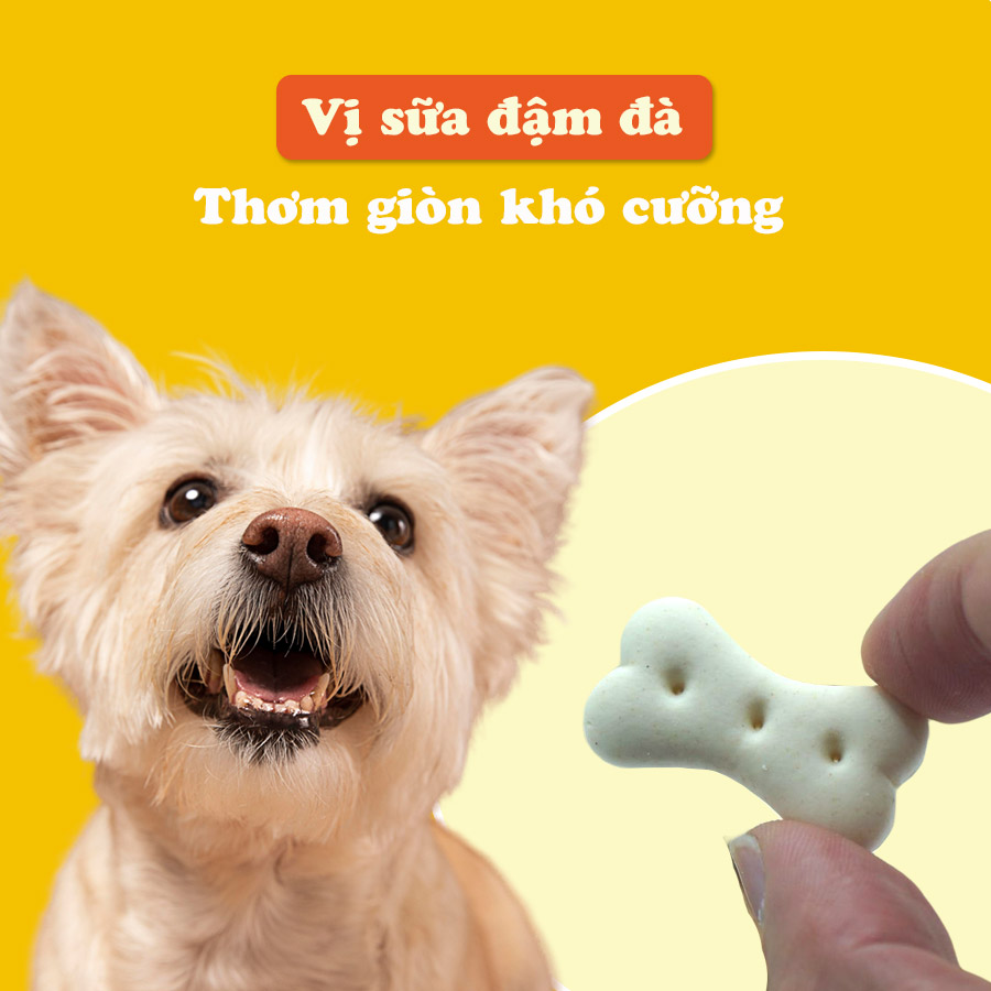 Bánh quy sữa cho chó DoggyMan 580g
