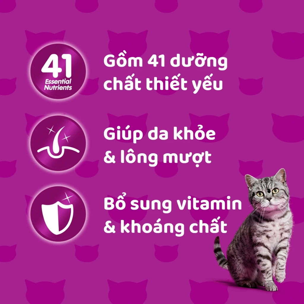 Pate mèo trưởng thành Whiskas Adult vị Cá Ngừ và Cá Hồi 70g