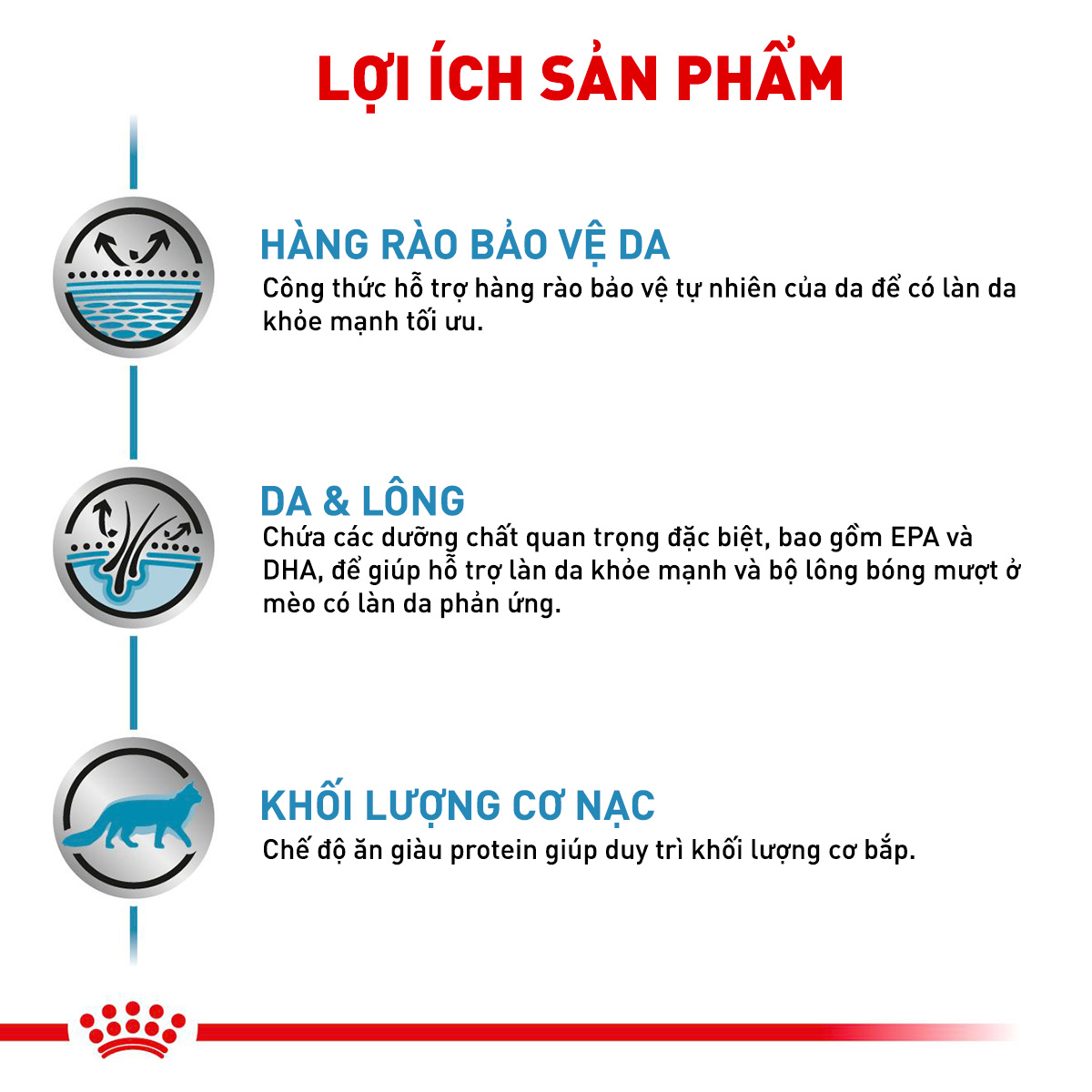 Thức ăn hạt cho mèo Royal Canin - Skin & Coat Feline 400g
