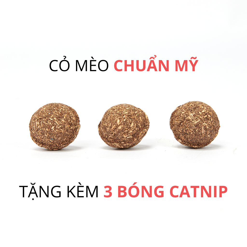 Đồ chơi chim vẹt có tiếng kêu kèm bóng catnip FOFOS