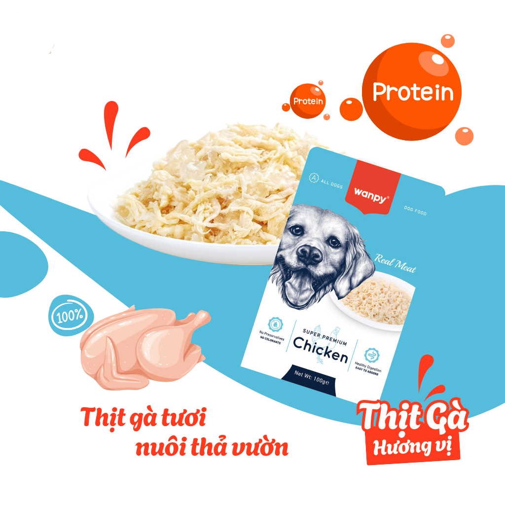 Pate dành cho chó Wanpy Premium 80g
