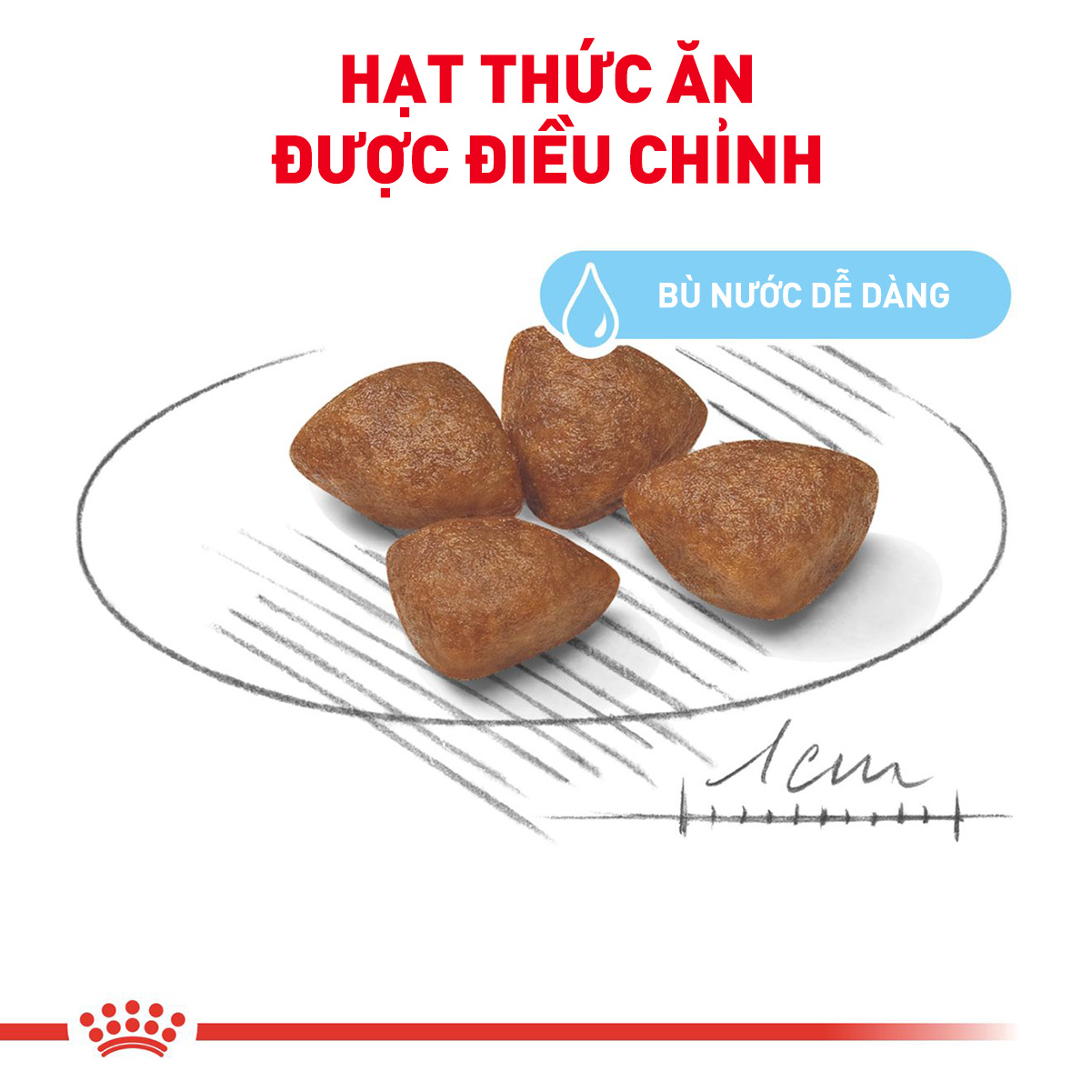 Thức ăn hạt cho chó Royal Canin - Mini Starter M&B 1kg