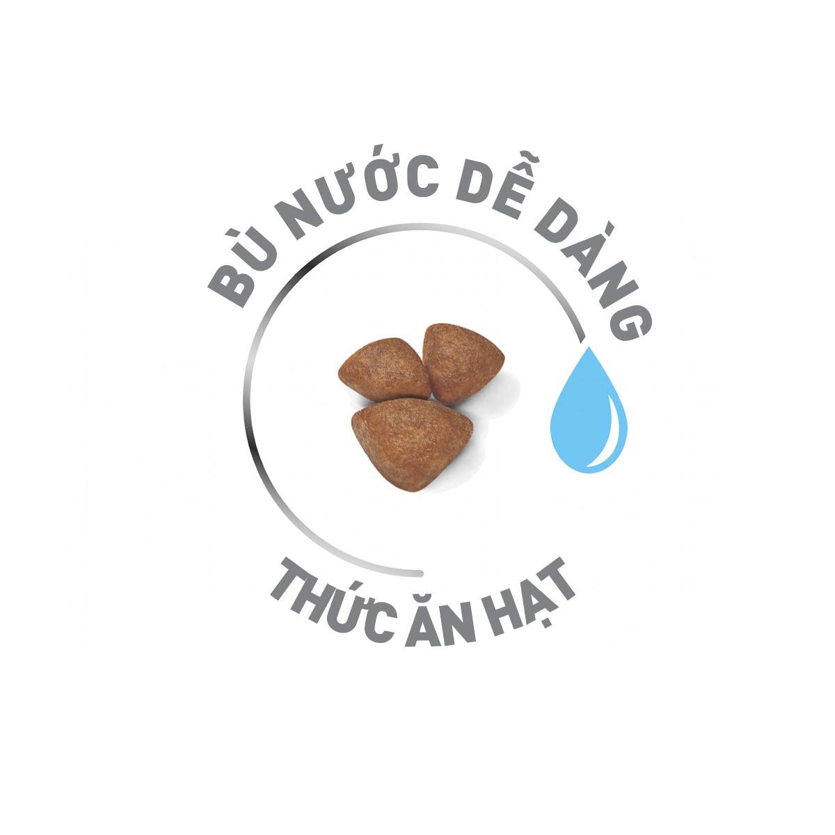 Thức ăn hạt cho chó Royal Canin - Mini Starter M&B 1kg
