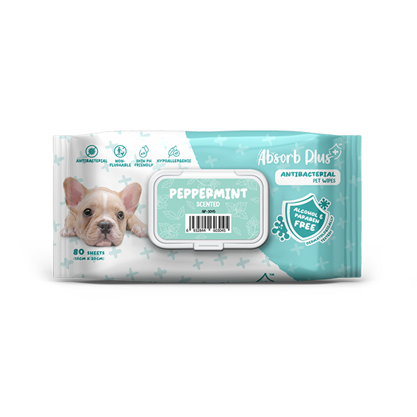 Khăn ướt kháng khuẩn cho chó ABSOLUTE PET - Hương Bạc Hà