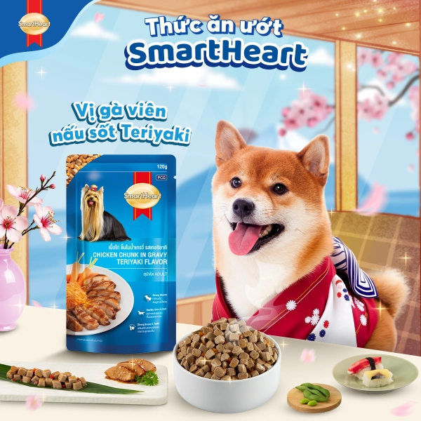Pate cho chó SmartHeart SPECIAL POUCH gói 120g