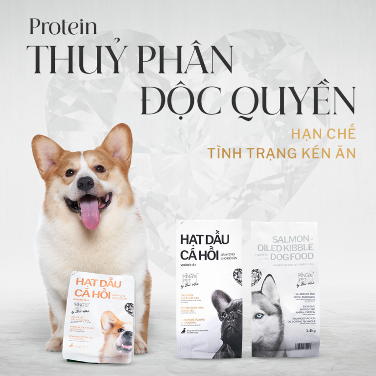 Hạt cho chó con- hạt dầu cá hồi vị sữa VS King's Pet By Bao Anh 350g