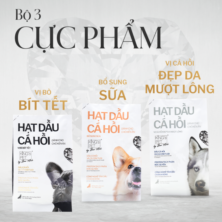 Hạt cho chó trưởng thành- hạt dầu cá hồi vị cá hồi đẹp da VCH King's Pet By Bao Anh 350g