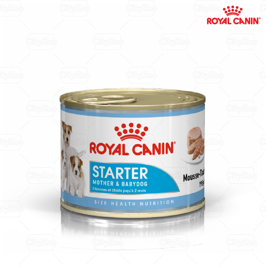 Pate cho chó Royal Canin Starter Mousse lon 195g