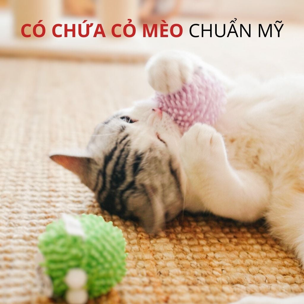 Đồ chơi cho thú cưng hình bóng hài hước Fofos