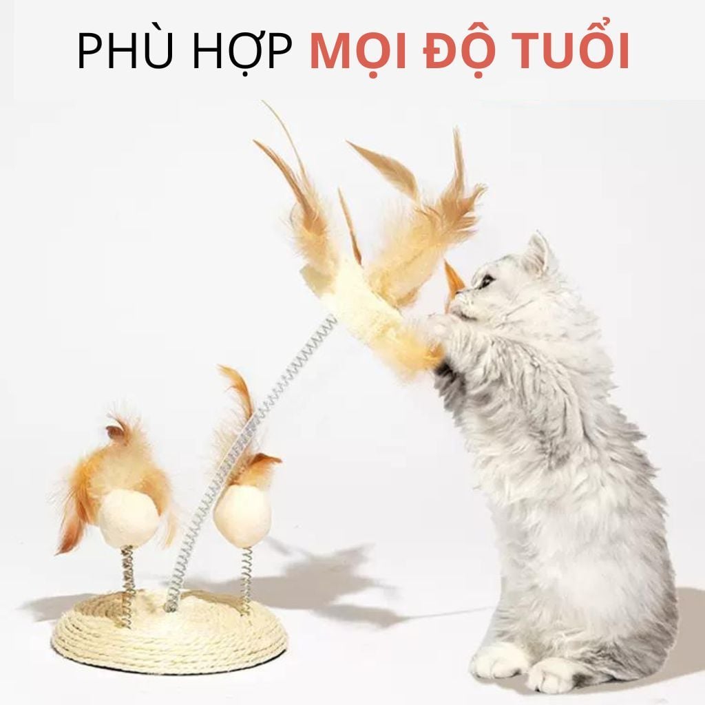 Bàn cào lông vũ tự nhiên cho mèo FOFOS