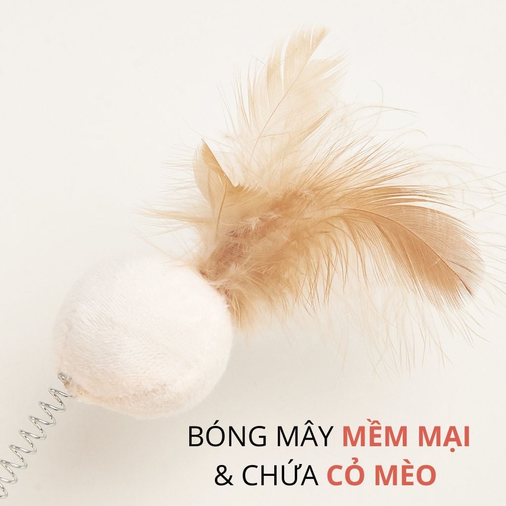 Bàn cào lông vũ tự nhiên cho mèo FOFOS