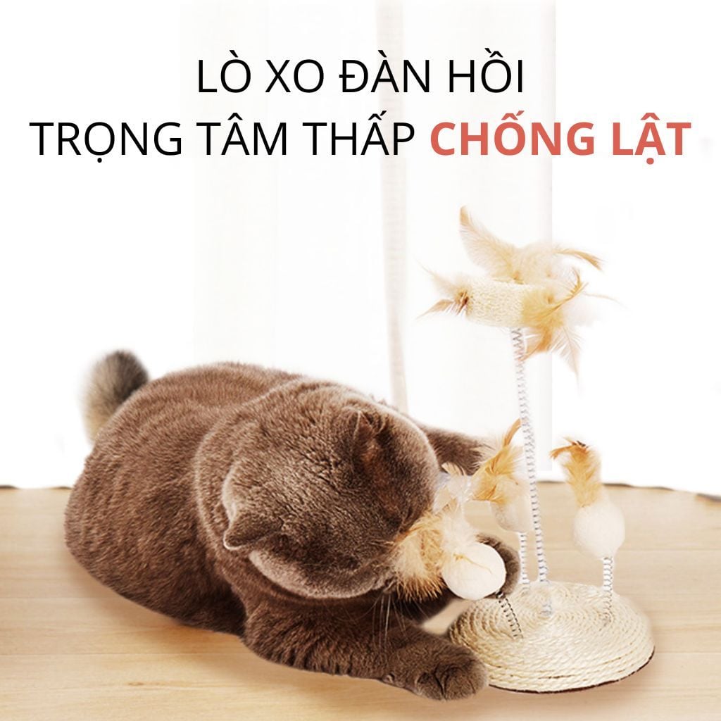 Bàn cào lông vũ tự nhiên cho mèo FOFOS