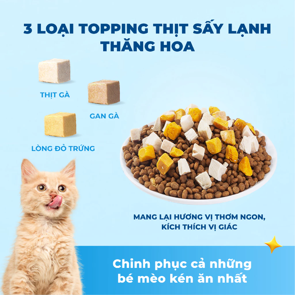 Thức ăn hạt cho mèo mọi lứa tuổi MR.VET T1 vị Gà và Bò 1kg