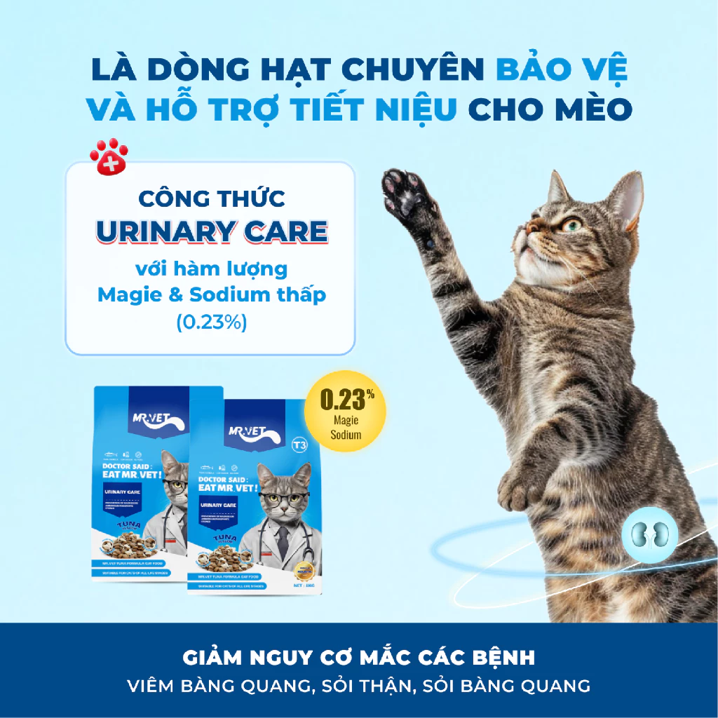 Thức ăn hạt cho mèo mọi lứa tuổi MR.VET T3 Mix 4 Loại Cá 1kg
