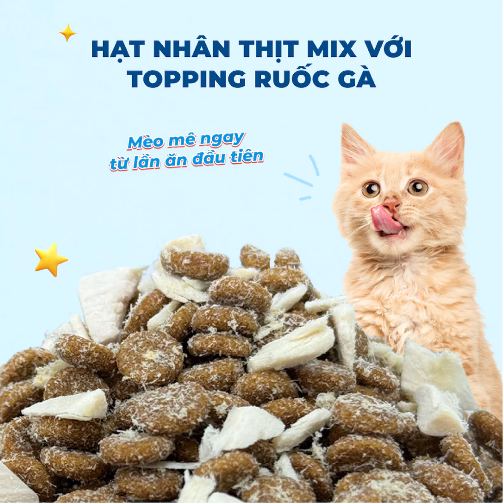 Thức ăn hạt cho mèo mọi lứa tuổi MR.VET T3 Mix 4 Loại Cá 1kg