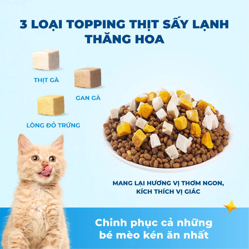 Thức ăn hạt cho mèo mọi lứa tuổi MR.VET T2 vị Gà và Cá Hồi 1kg