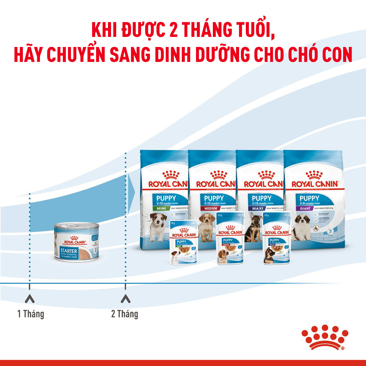 Pate cho chó Royal Canin Starter Mousse lon 195g