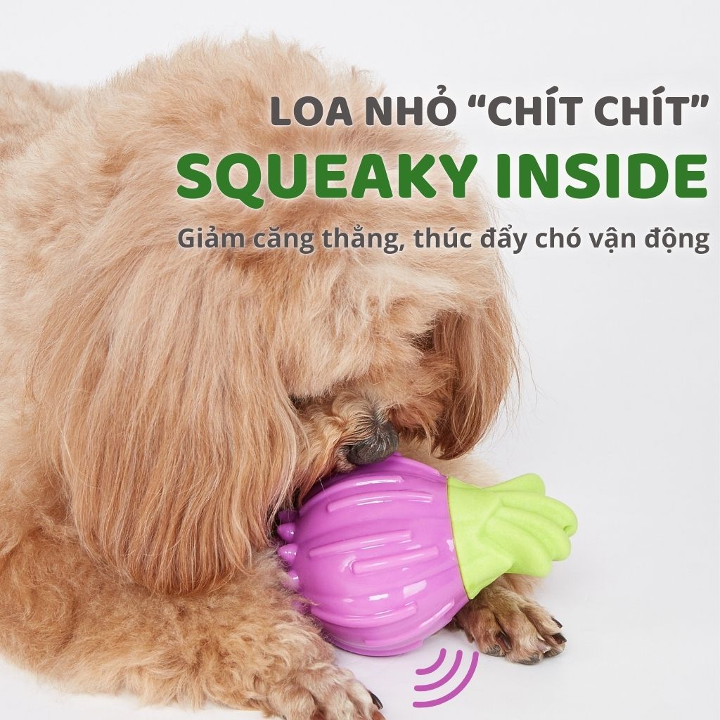 Đồ chơi cắn gặm cho chó hình củ hành FOFOS