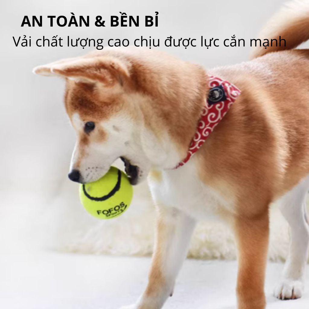 Đồ chơi bóng Tennis FOFOS