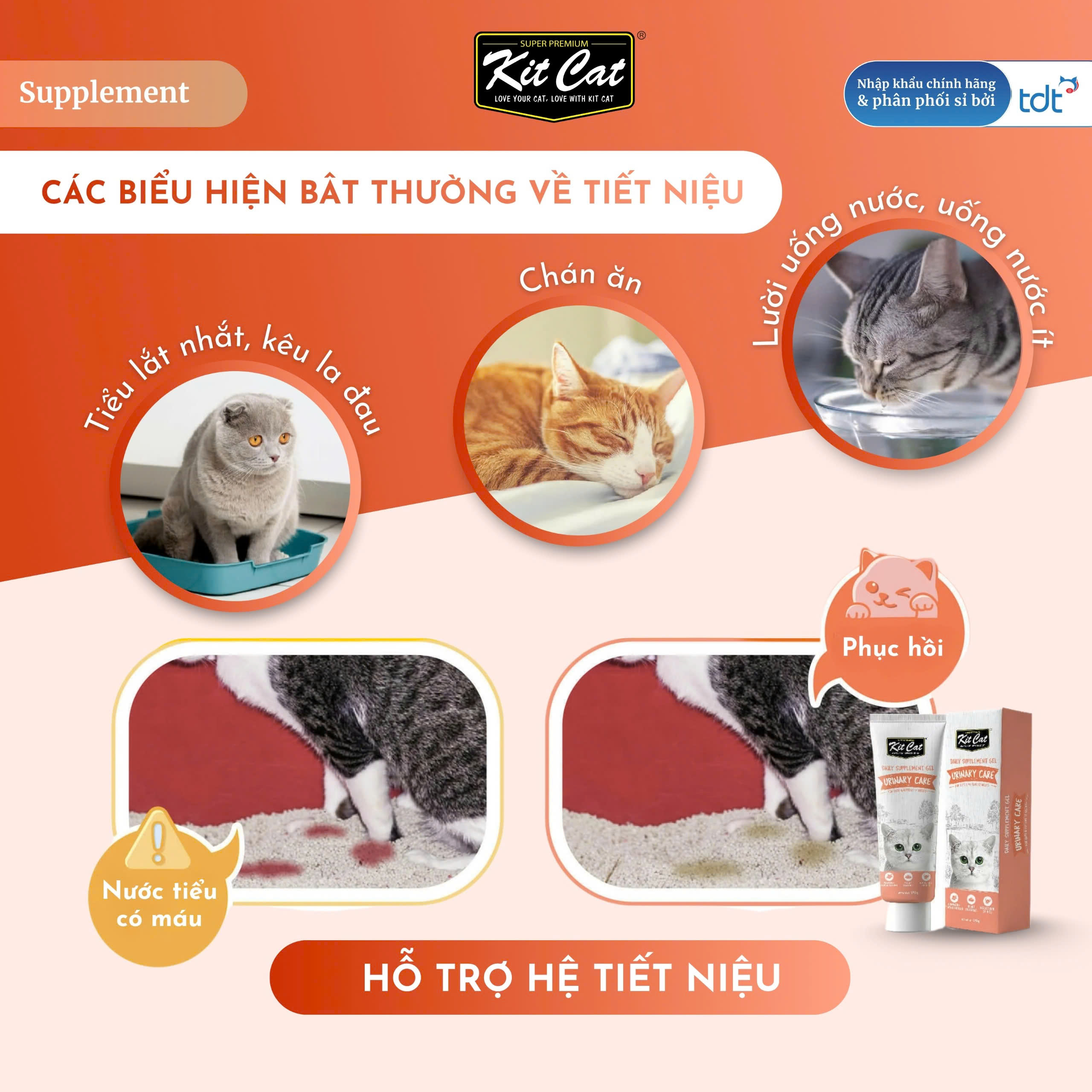 Gel dinh dưỡng Kit Cat hỗ trợ hệ tiết niệu cho mèo 120g