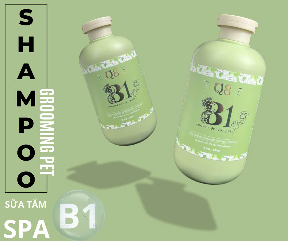 Sữa tắm B1 - Dt 500ml - Q8