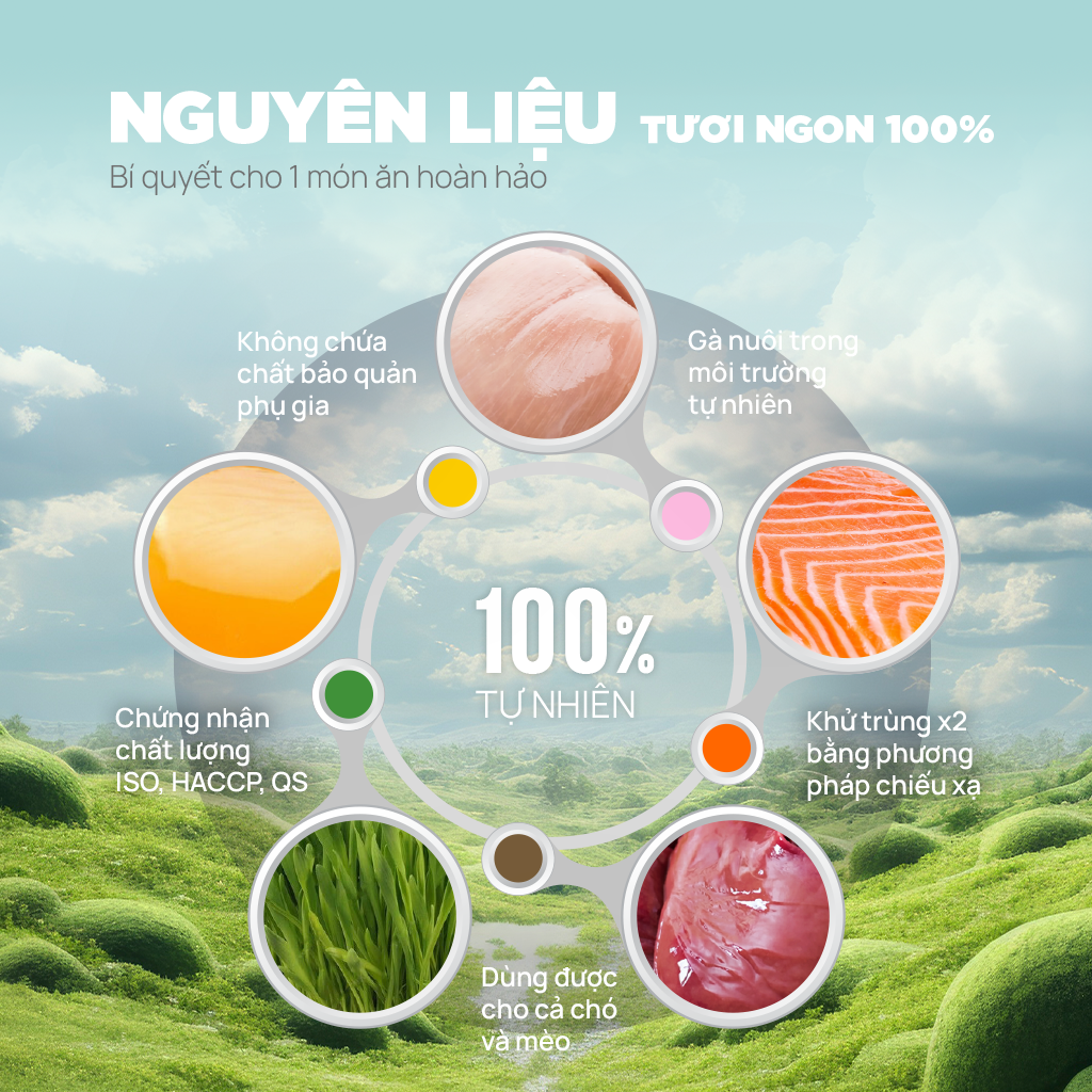 Thức ăn sấy đông khô PetQ vị Gan Gà