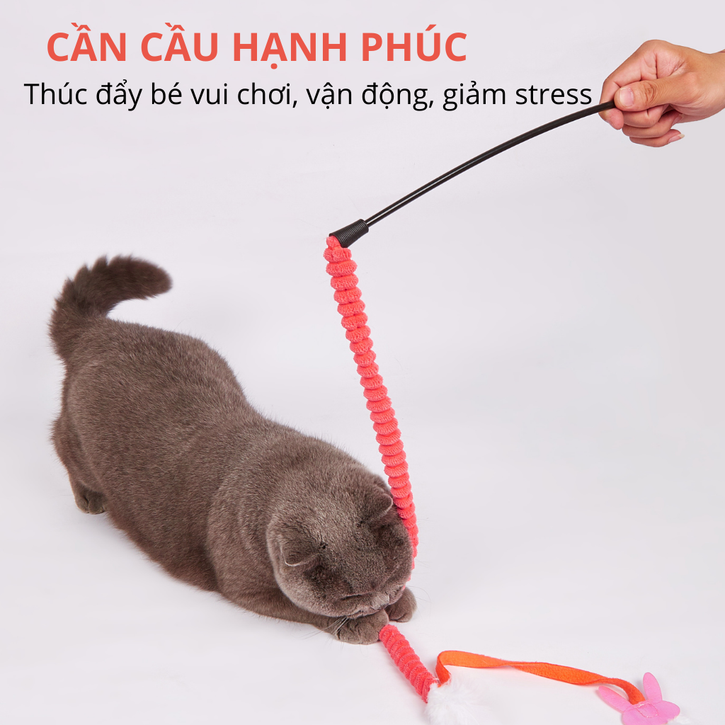 Cần câu mèo co giãn FOFOS