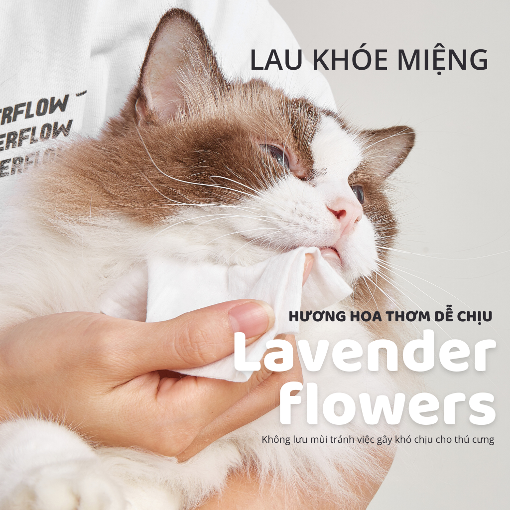 Khăn ướt vệ sinh chuyên dụng cho thú cưng FOFOS