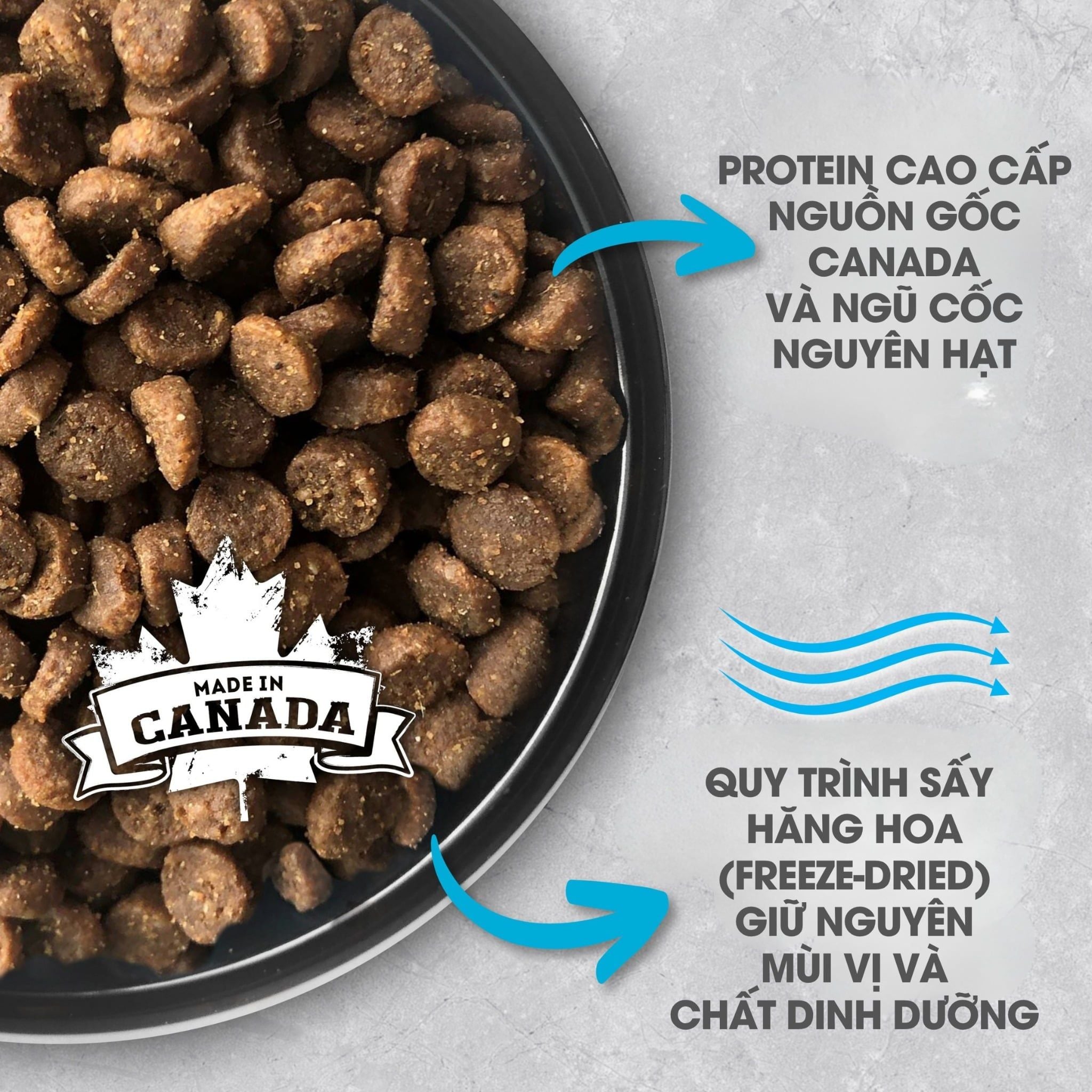 NT Infusion cho Mèo trưởng thành - Cá biển và rau củ quả tự nhiên