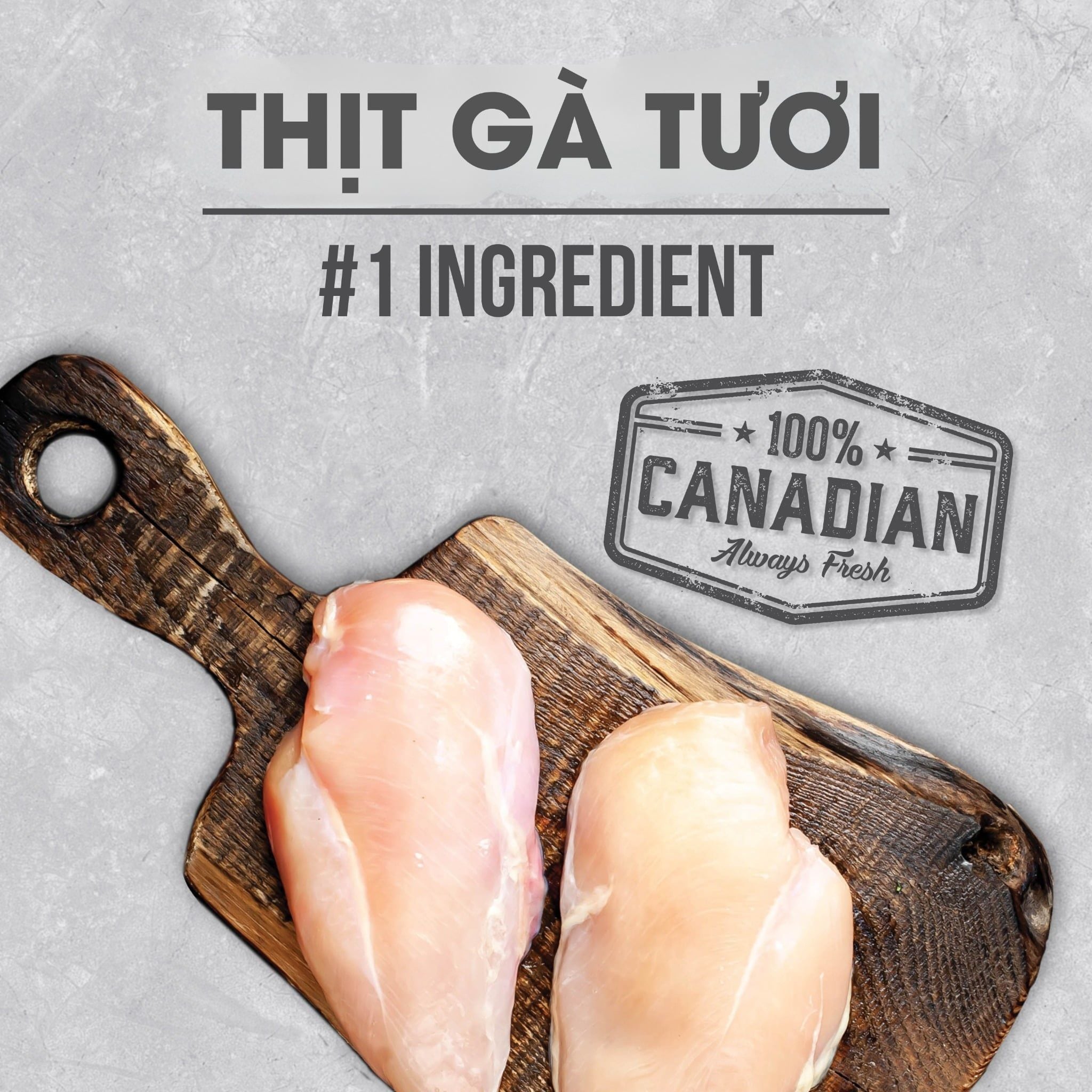 NT Infusion cho Chó con - Thịt gà và rau củ quả tự nhiên (Dưới 12 tháng tuổi)