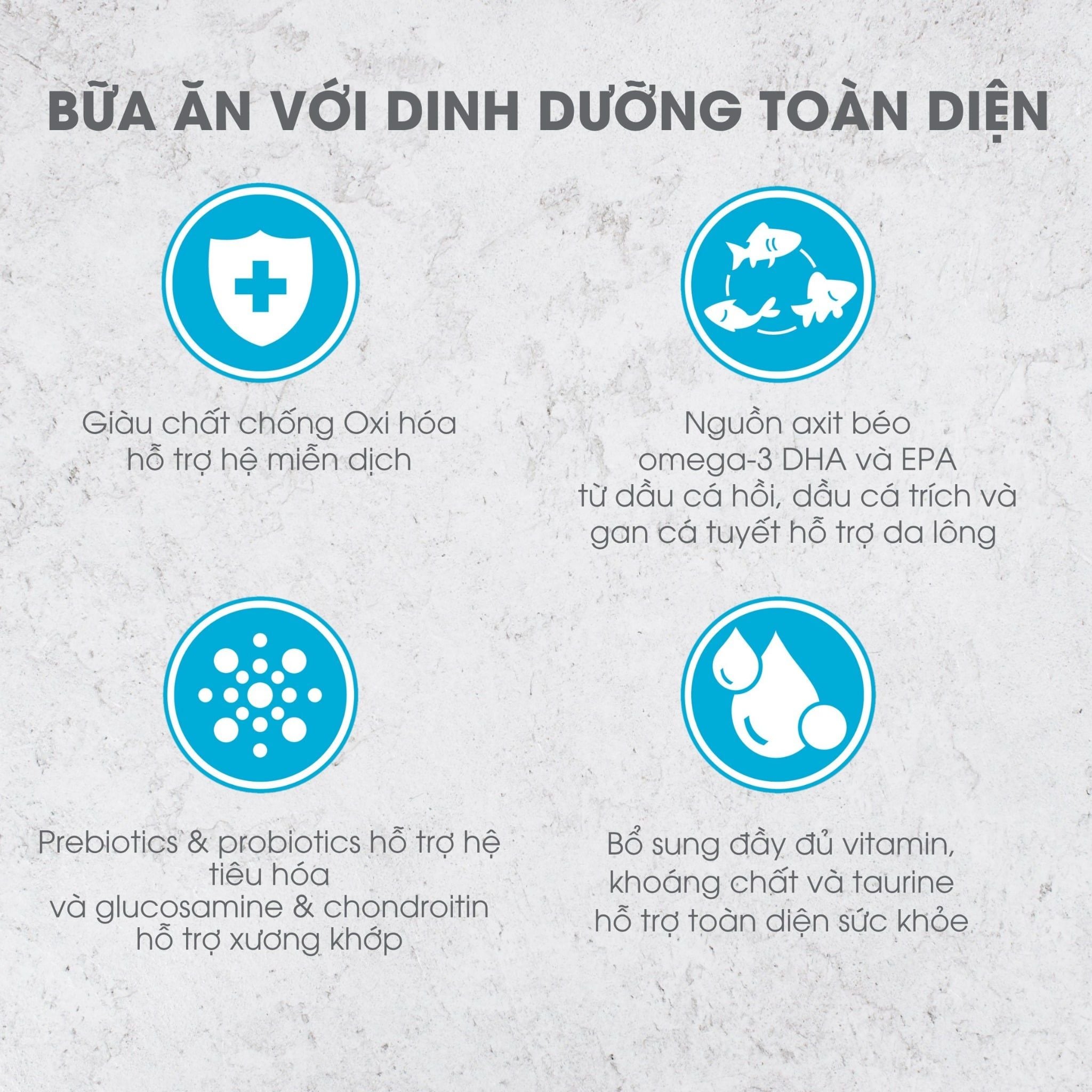 NT Infusion cho Mèo trưởng thành - Cá biển và rau củ quả tự nhiên