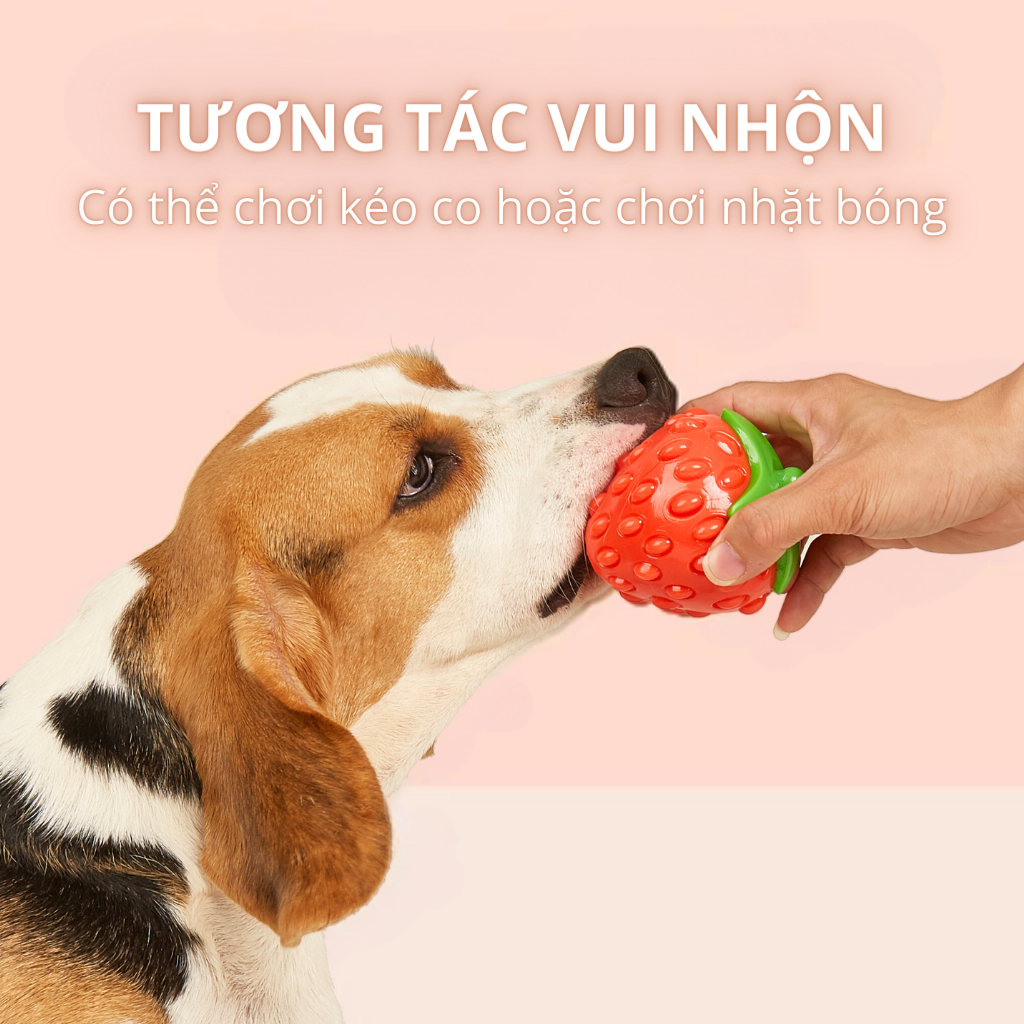 Đồ chơi cắn gặm hình trái dâu FOFOS (Không Âm Thanh)