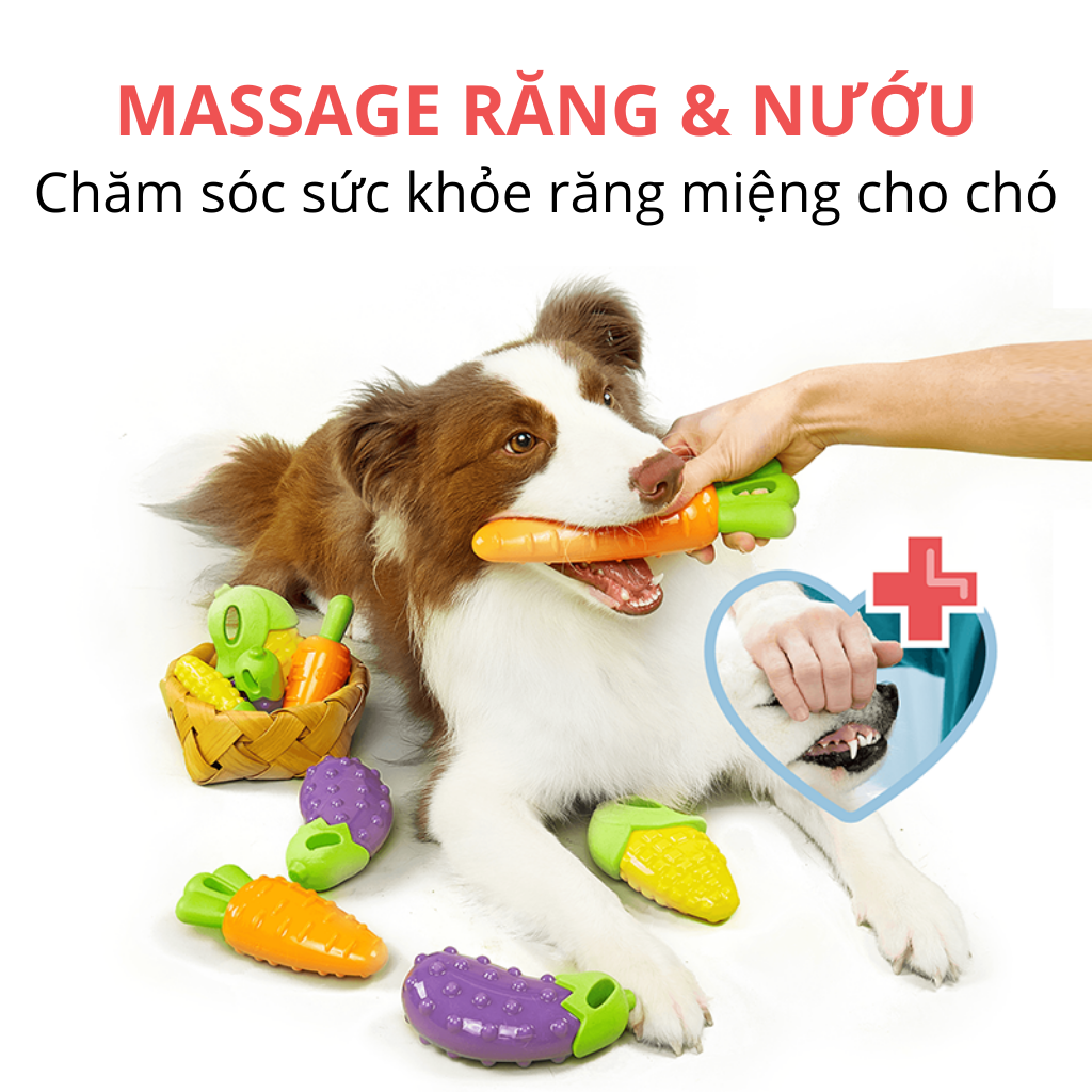 Đồ chơi cắn gặm hình cà tím FOFOS