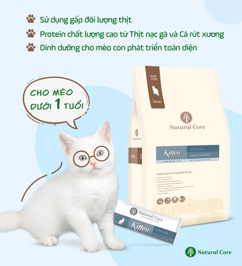 Thức ăn hạt Natural Core BENE C1 cho mèo con