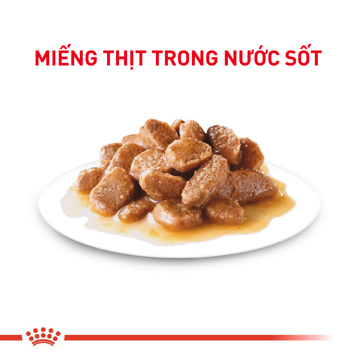 Pate cho chó Royal Canin Mini Adult 85g