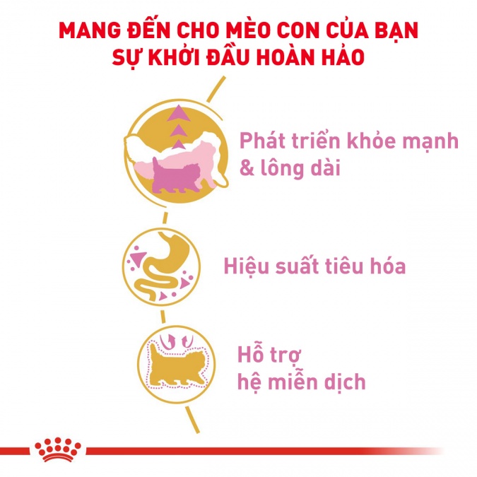 Thức ăn hạt cho mèo Royal Canin - Persian Kitten 400g