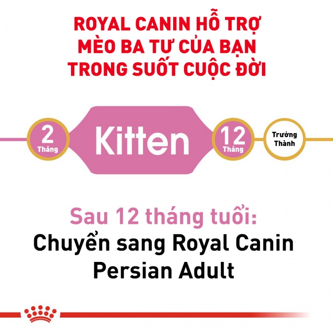 Thức ăn hạt cho mèo Royal Canin - Persian Kitten 400g